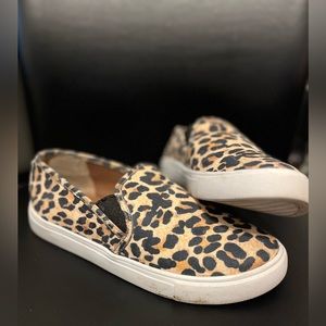 Steve Madden size 7 cheetah print shoes
